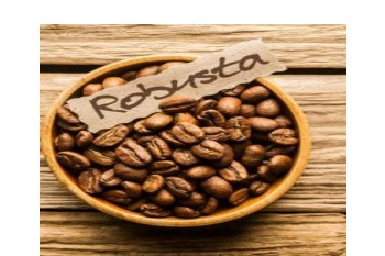 Vietnam Coffee: Robusta Prices Reached Their Highest In Five Years Vietnam Coffee: Robusta Prices Reached Their Highest In Five Years
