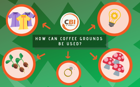 Future grounds: How coffee grounds can be used in the circular economy coffee industry in the circular economy