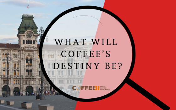 The ways to face the challenges of the market with Trieste Coffee Experts Trieste Coffee Experts