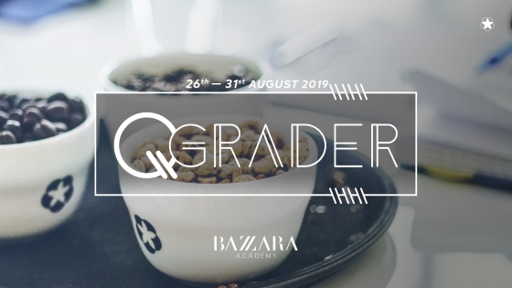 A course to become a Q-Grader at the Bazzara Accademy Q-Grader