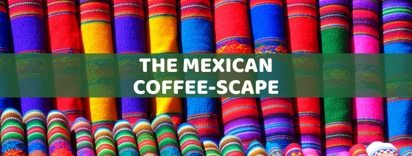 The Mexican Coffee-Scape The Mexican Coffee-Scape