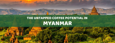 The untapped coffee potential in Myanmar